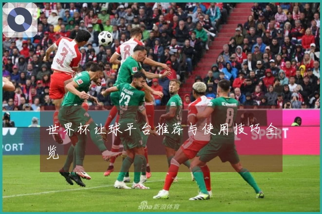 世界杯让球平台推荐与使用技巧全览