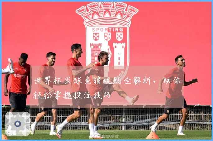 世界杯买球竞猜规则全解析，助你轻松掌握投注技巧