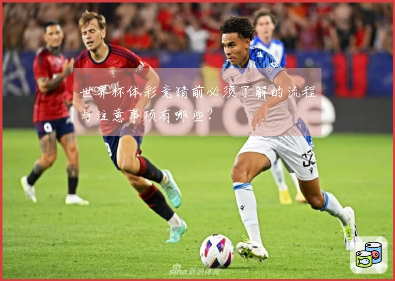 世界杯体彩竞猜前必须了解的流程与注意事项有哪些？