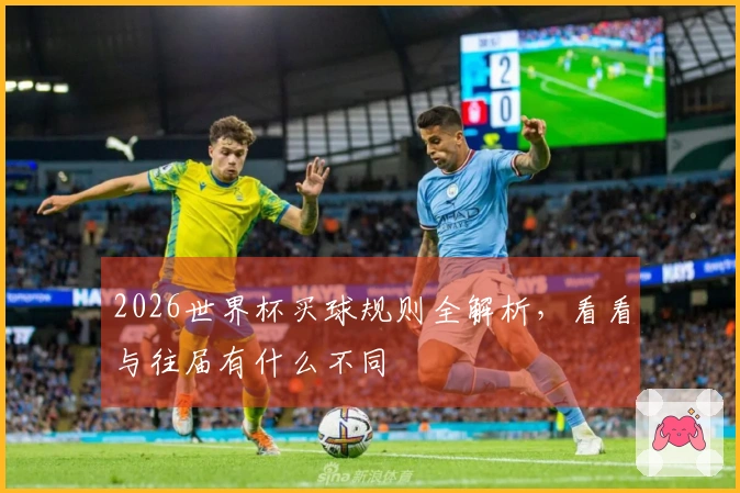2026世界杯买球规则全解析，看看与往届有什么不同