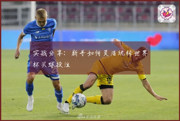 实战分享：新手如何灵活玩转世界杯买球投注