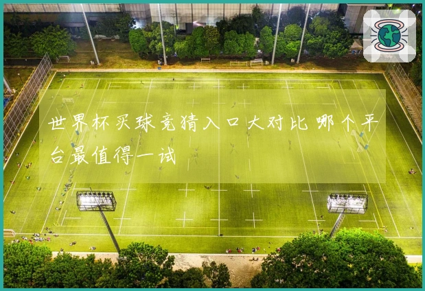 世界杯买球竞猜入口大对比 哪个平台最值得一试