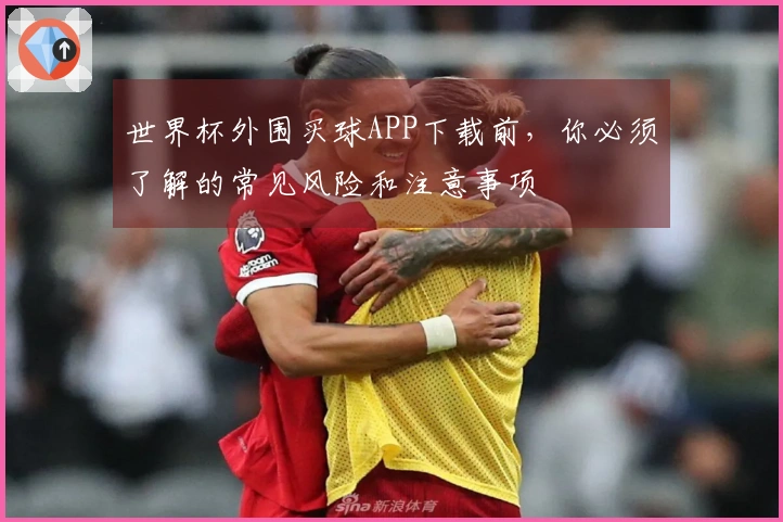 世界杯外围买球APP下载前，你必须了解的常见风险和注意事项