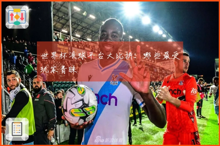 世界杯滚球平台大比拼：哪些最受玩家青睐