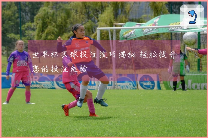 世界杯买球投注技巧揭秘 轻松提升您的投注经验