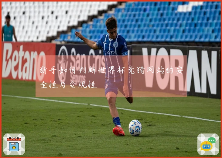 新手如何判断世界杯竞猜网站的安全性与合规性