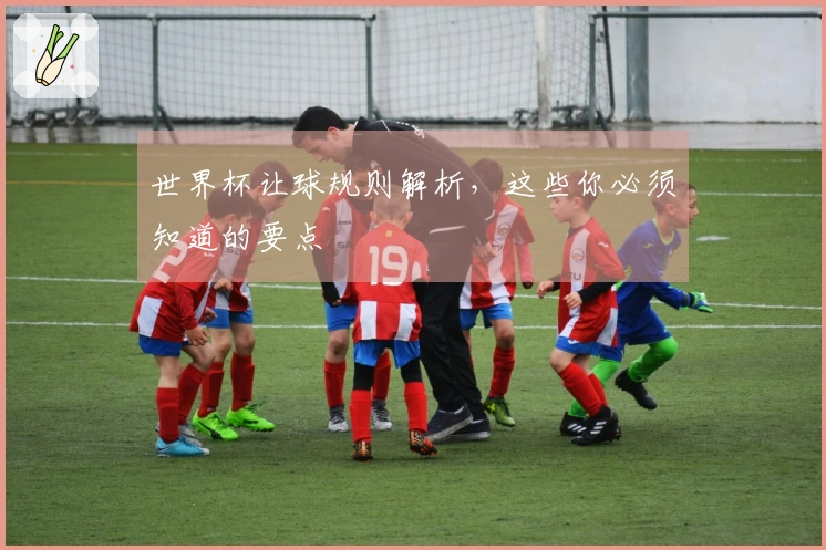 世界杯让球规则解析，这些你必须知道的要点