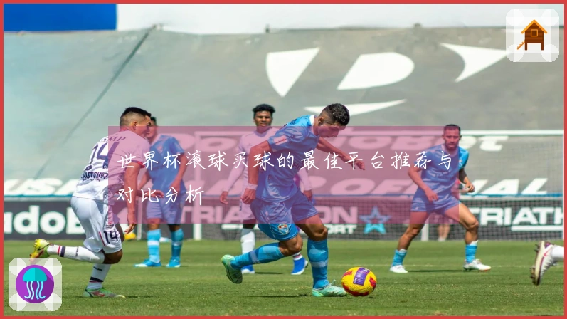 世界杯滚球买球的最佳平台推荐与对比分析