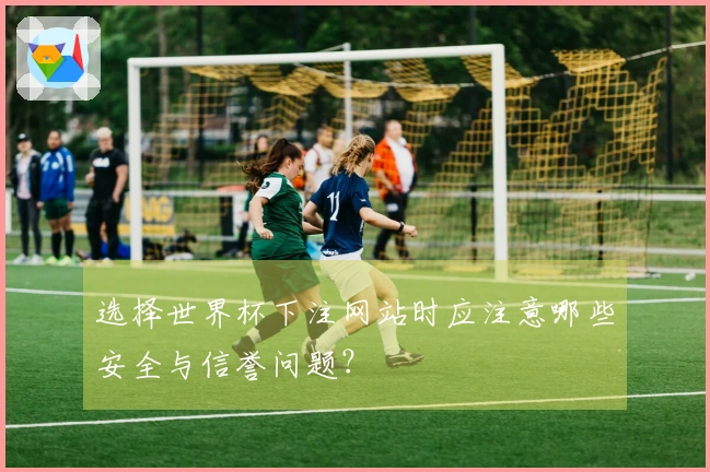 选择世界杯下注网站时应注意哪些安全与信誉问题？