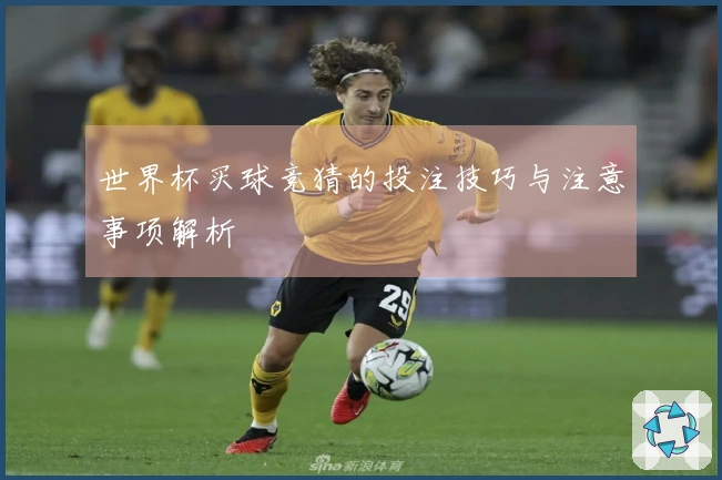 世界杯买球竞猜的投注技巧与注意事项解析