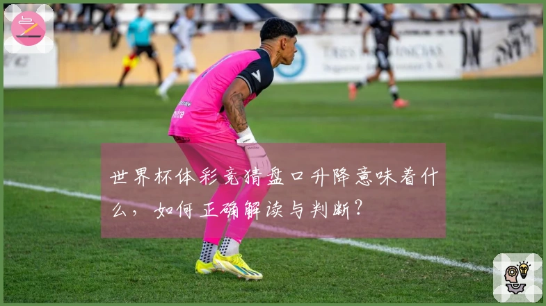 世界杯体彩竞猜盘口升降意味着什么，如何正确解读与判断？