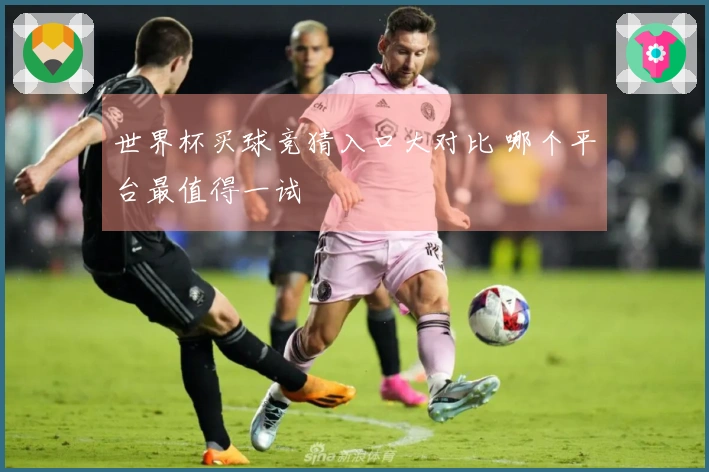 世界杯买球竞猜入口大对比 哪个平台最值得一试