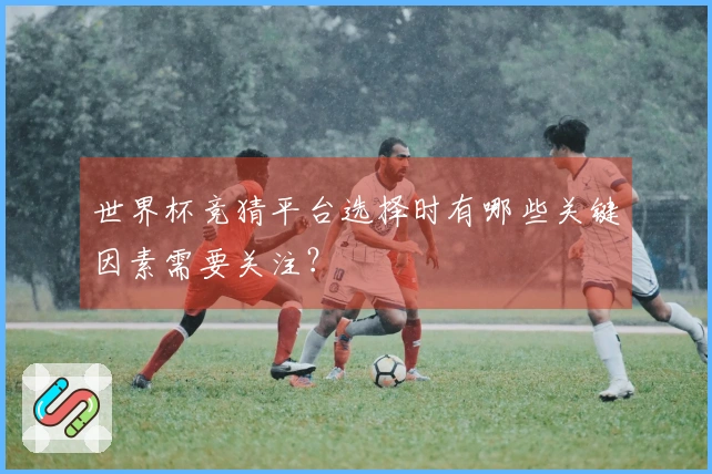 世界杯竞猜平台选择时有哪些关键因素需要关注？