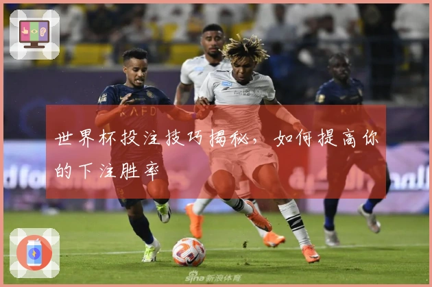 世界杯投注技巧揭秘，如何提高你的下注胜率