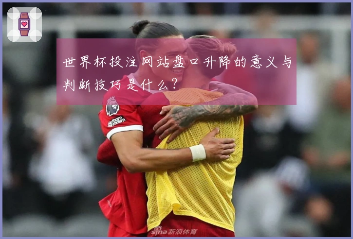 世界杯投注网站盘口升降的意义与判断技巧是什么？