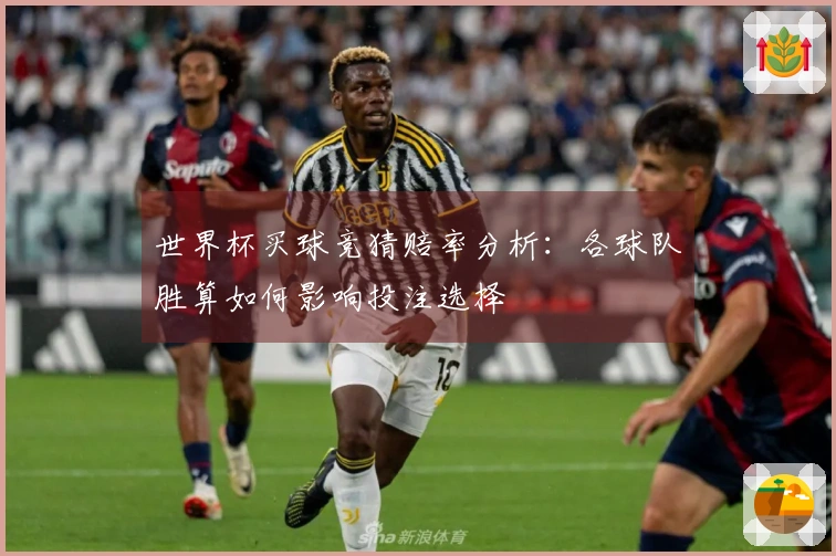 世界杯买球竞猜赔率分析：各球队胜算如何影响投注选择