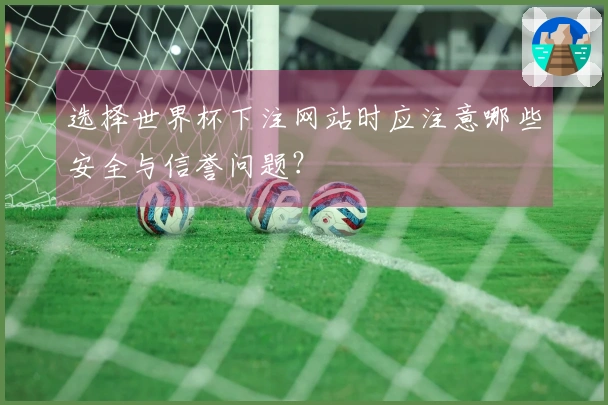 选择世界杯下注网站时应注意哪些安全与信誉问题？