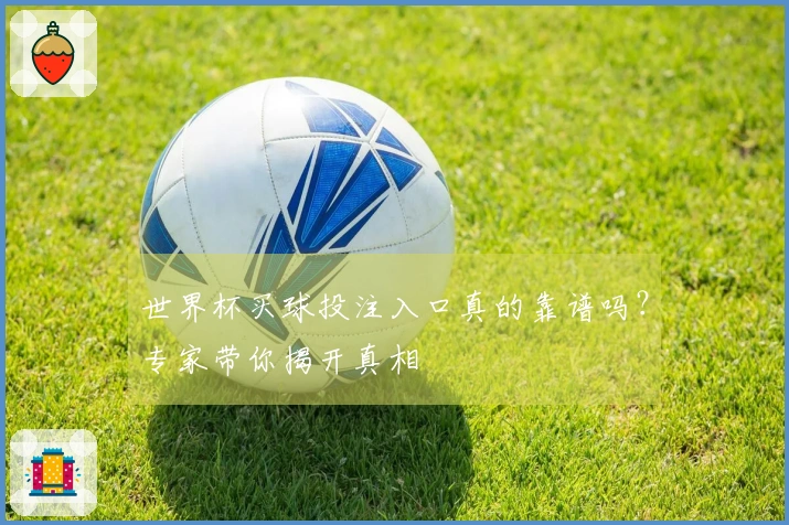 世界杯买球投注入口真的靠谱吗？专家带你揭开真相