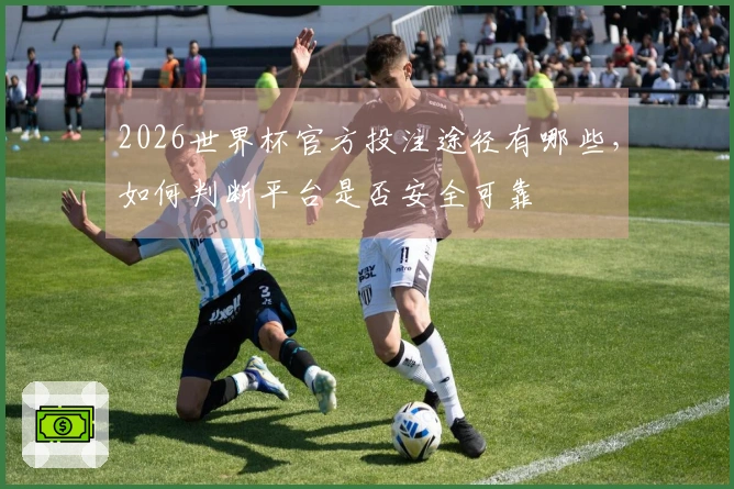 2026世界杯官方投注途径有哪些，如何判断平台是否安全可靠