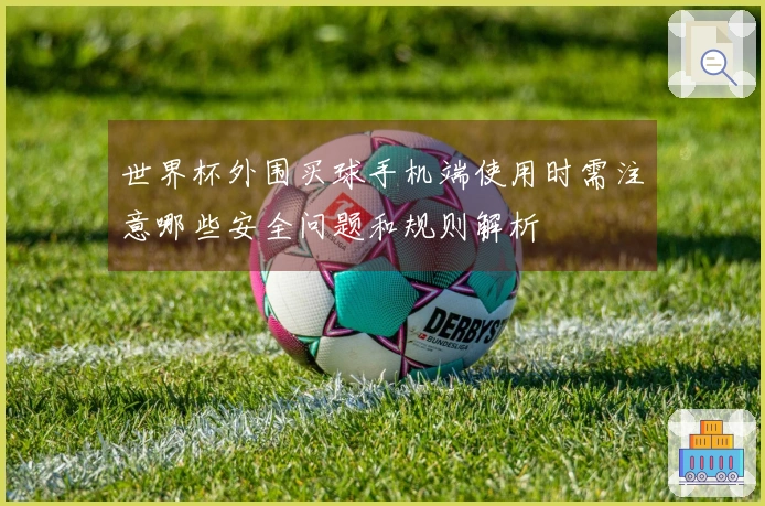 世界杯外围买球手机端使用时需注意哪些安全问题和规则解析