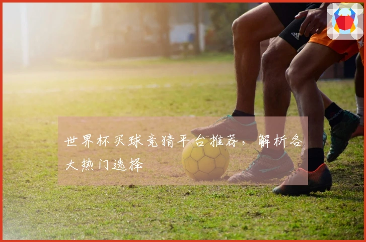 世界杯买球竞猜平台推荐，解析各大热门选择