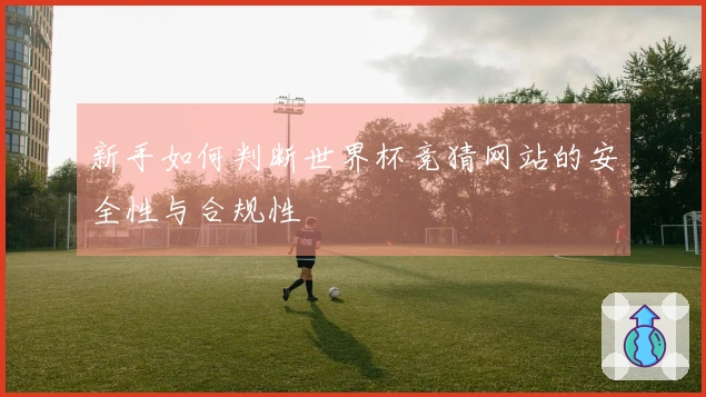 新手如何判断世界杯竞猜网站的安全性与合规性