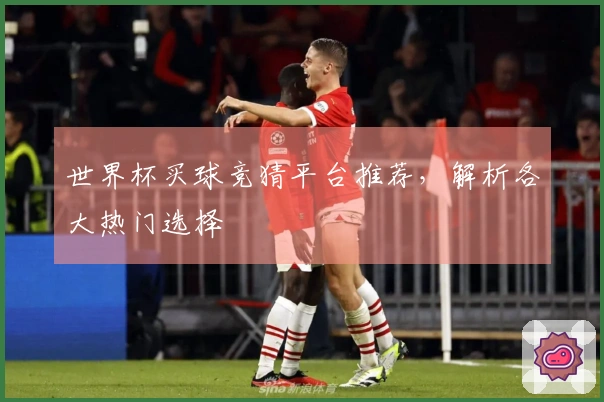 世界杯买球竞猜平台推荐，解析各大热门选择