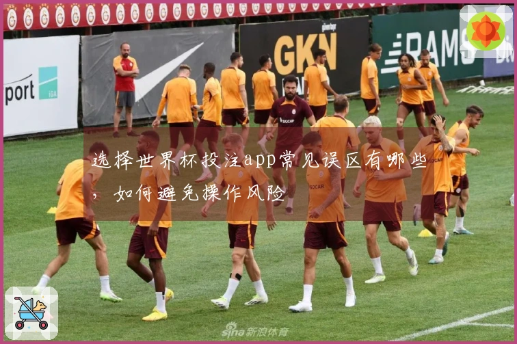 选择世界杯投注app常见误区有哪些，如何避免操作风险