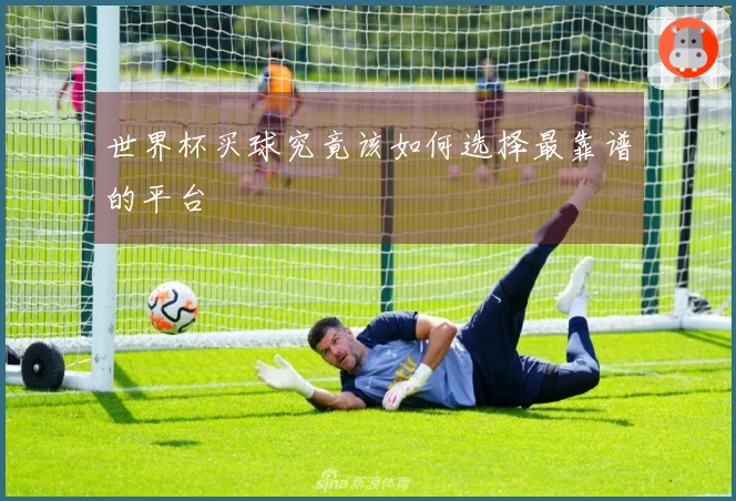 世界杯买球究竟该如何选择最靠谱的平台