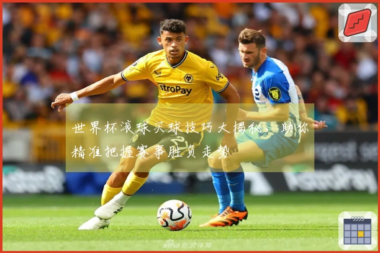 世界杯滚球买球技巧大揭秘，助你精准把握赛事胜负走势