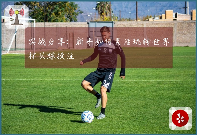 实战分享：新手如何灵活玩转世界杯买球投注